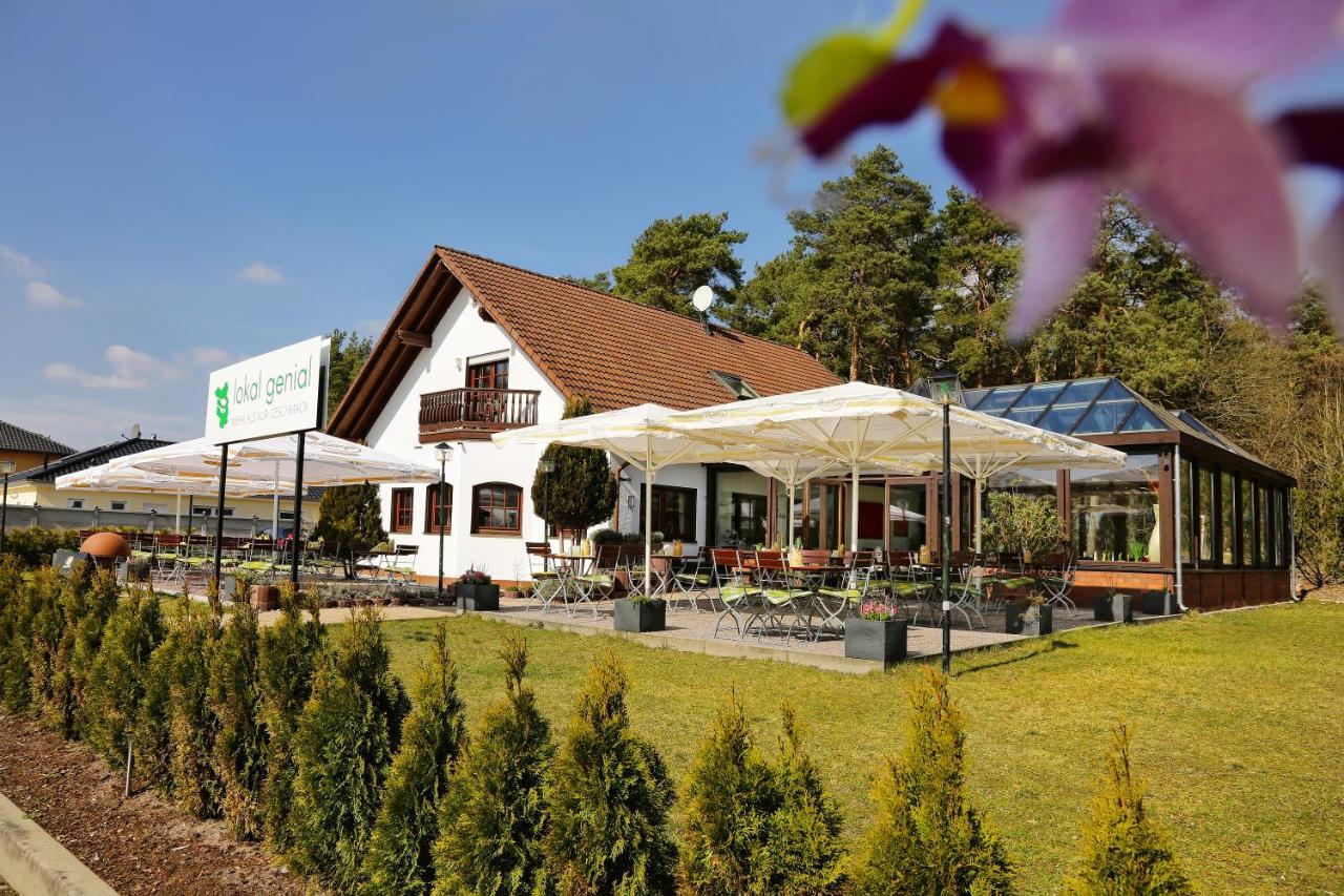 Lokal Genial Pension & Restaurant Beelitz Exterior photo